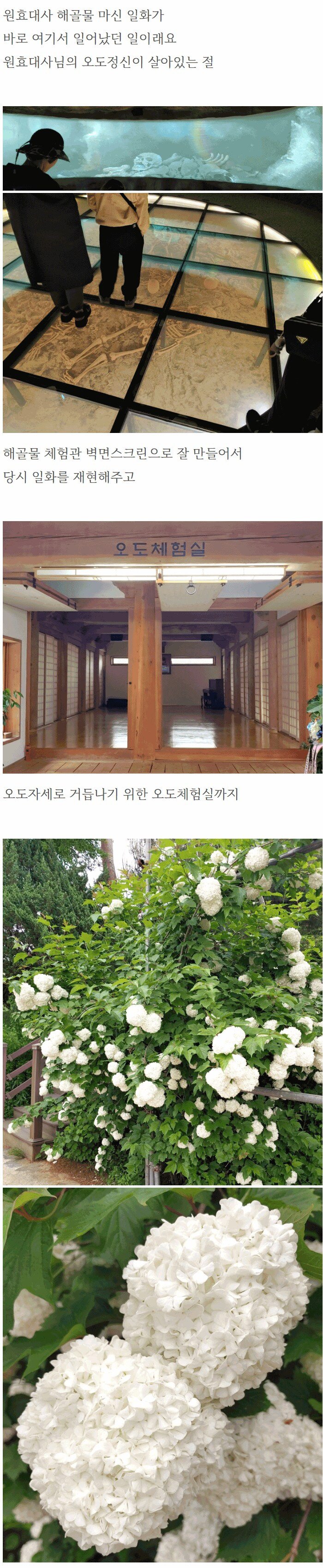 석가탄신일에 절에 가서 비빔밥 얻어 먹은 사람