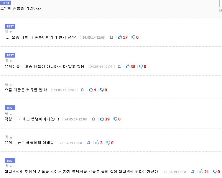 OS 이식 설치된 고양이