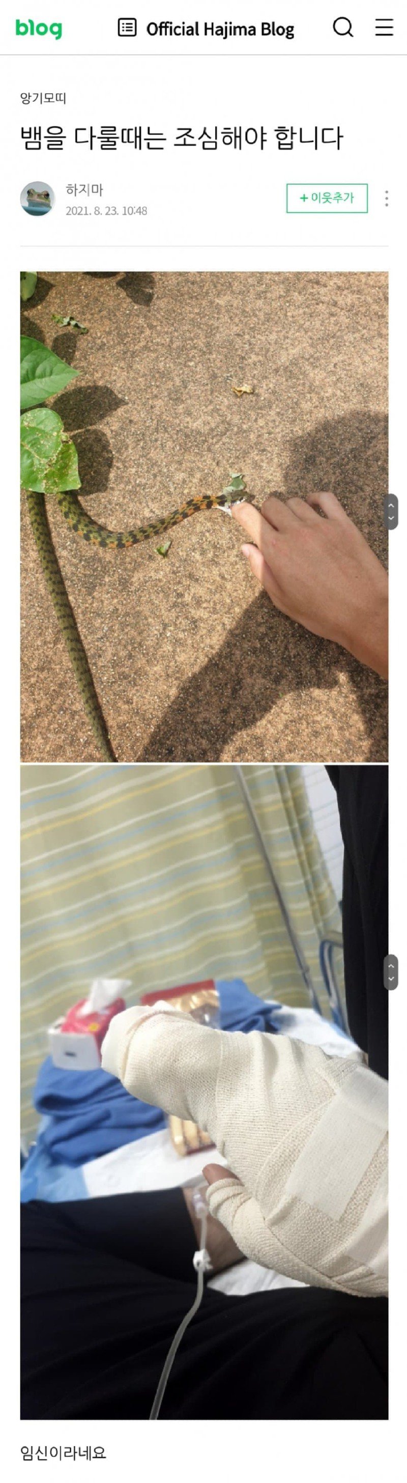 뱀에 진심인 진짜 뱀 사냥꾼.jpg