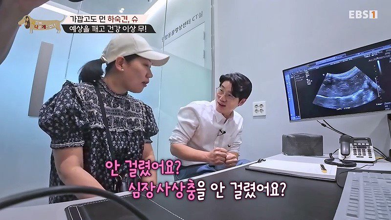 구조한지 1년 3개월이 되었지만 못만지게해서 발톱 부러지고 목욕은 꿈도 못꾼 개