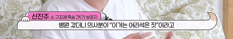 구조한지 1년 3개월이 되었지만 못만지게해서 발톱 부러지고 목욕은 꿈도 못꾼 개