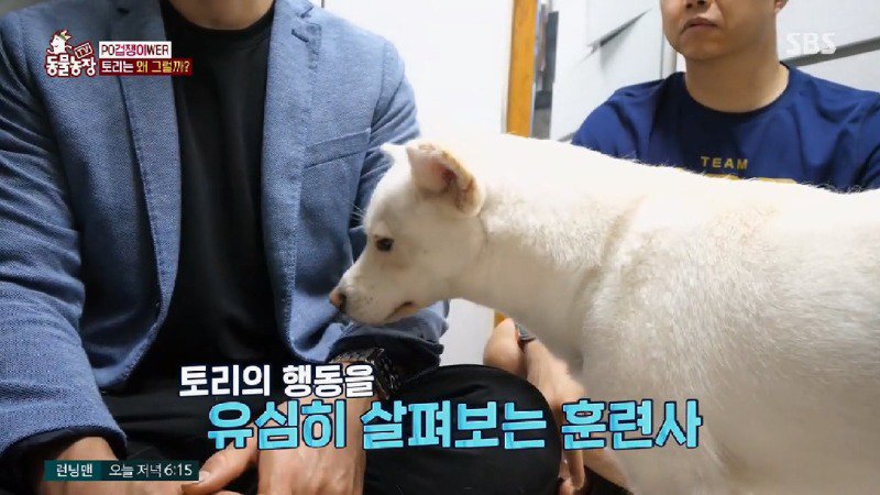 데려온지 1년 넘은 개가 옷방 근처에서 꼼짝도 하지 않았던 이유