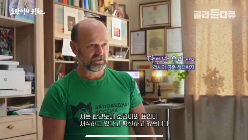 한반도 호랑이 근황.jpg