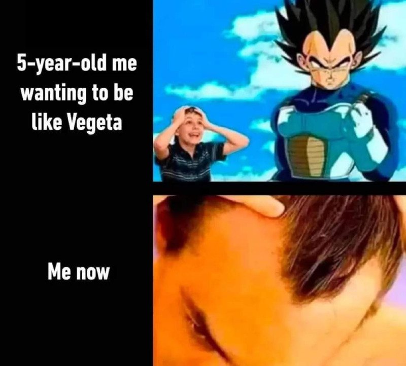 베지터처럼 되고 싶었던 아이는 커서