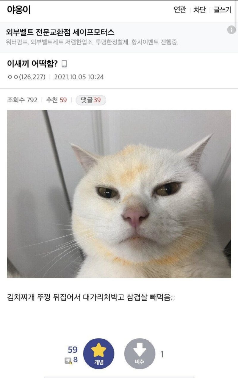 절대 먹은적 없는 고양이들