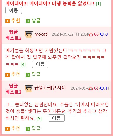 의외로 추돌사고 많이내는 꿀벌들