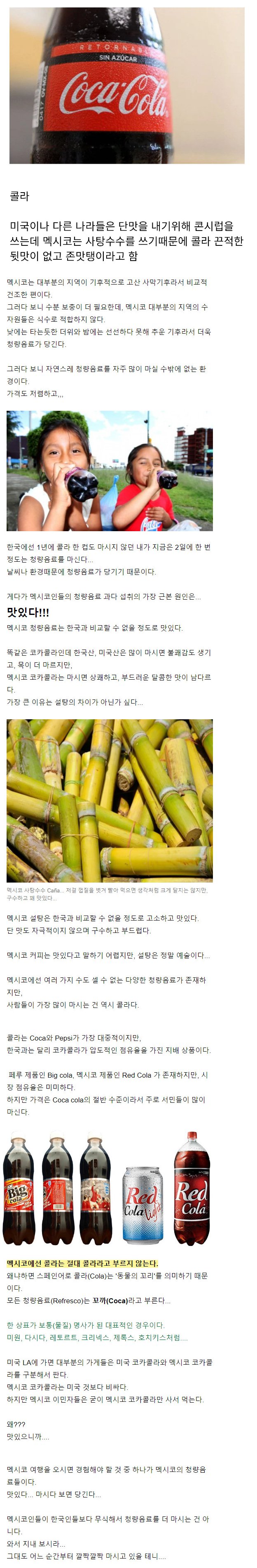 멕시코에 가면 꼭 먹어봐할것
