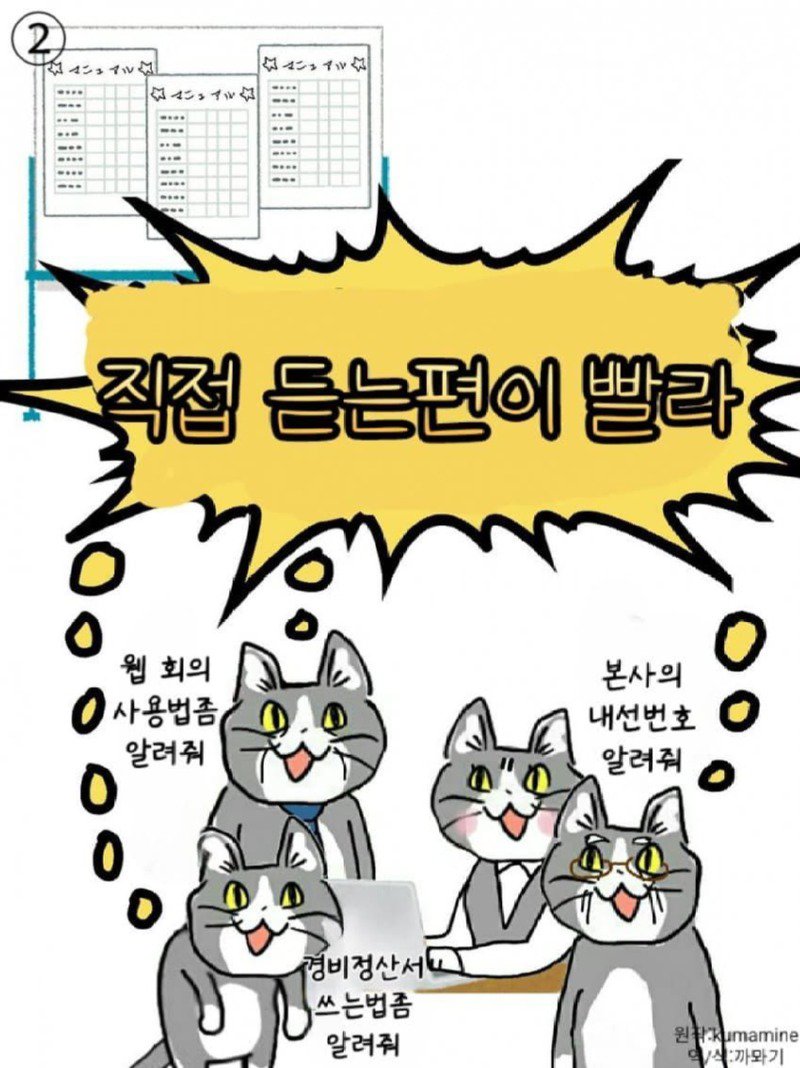 좆소고양이 모음집 