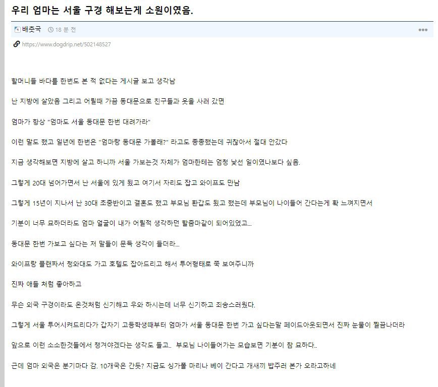 엄마의 소원은 서울구경이었다