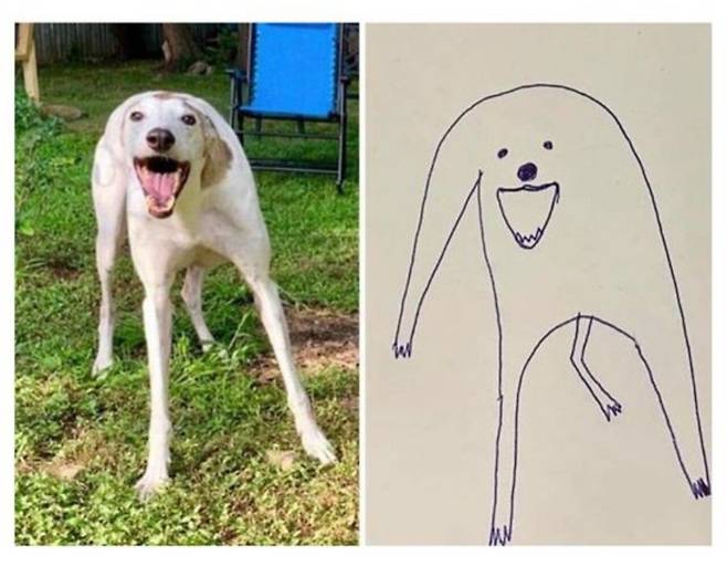 강아지 그리기 대회 1등, 2등 수상작