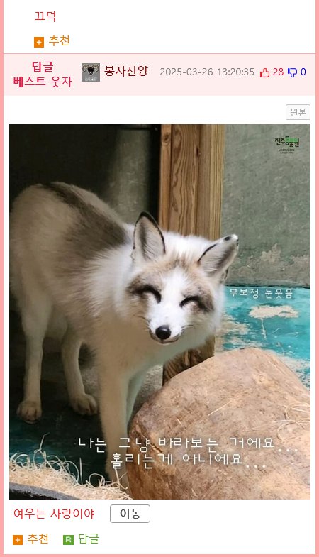 전주에서 포획된 여우의 동물원 입주 과정.jpg