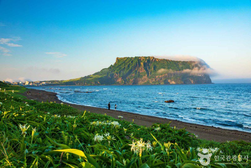 한국 사진 몇장 