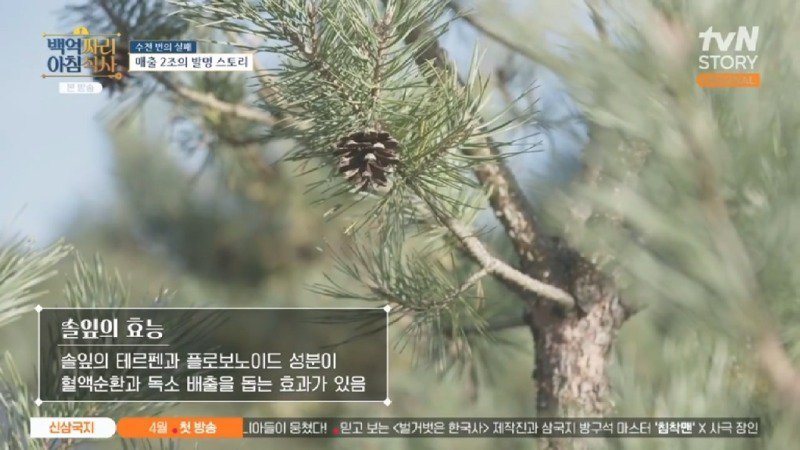 녹즙기에서 시작되어 발명된 착즙기