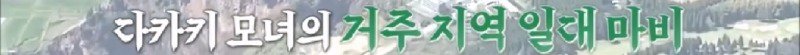 지진으로 교통,통신 수단이 마비되었을 때 집배원 역할을 해준 고양이