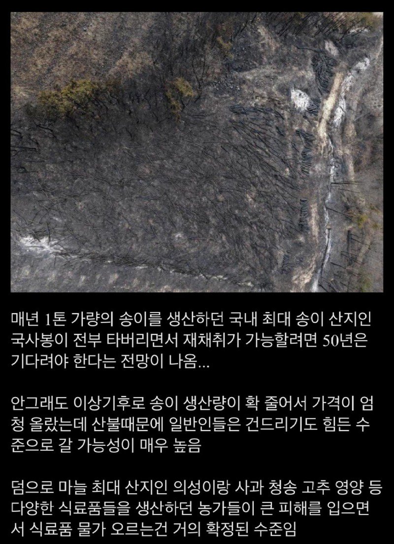 이제 국내산 먹기 포기해야 한다는 식료품