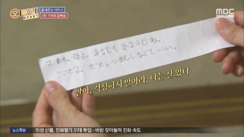 지진으로 교통,통신 수단이 마비되었을 때 집배원 역할을 해준 고양이