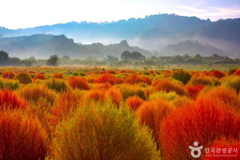 한국 사진 몇장 