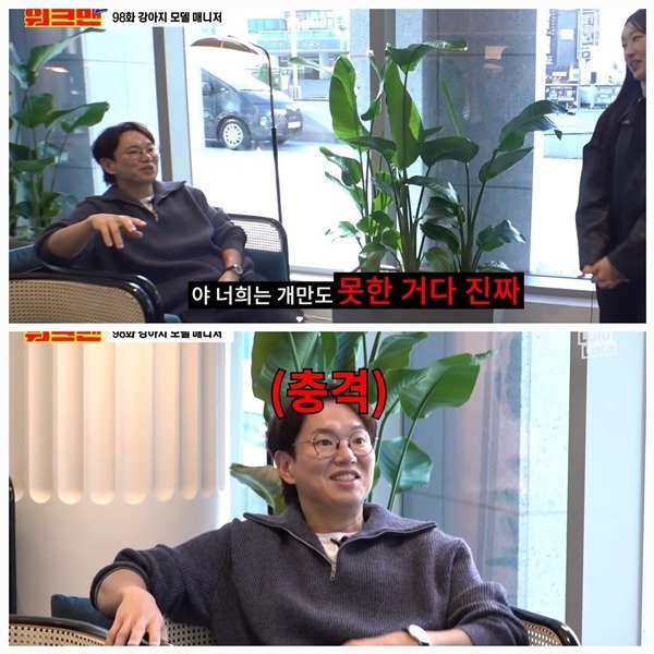 보고도 믿기지 않는 댕댕이의 집안일 클라스!