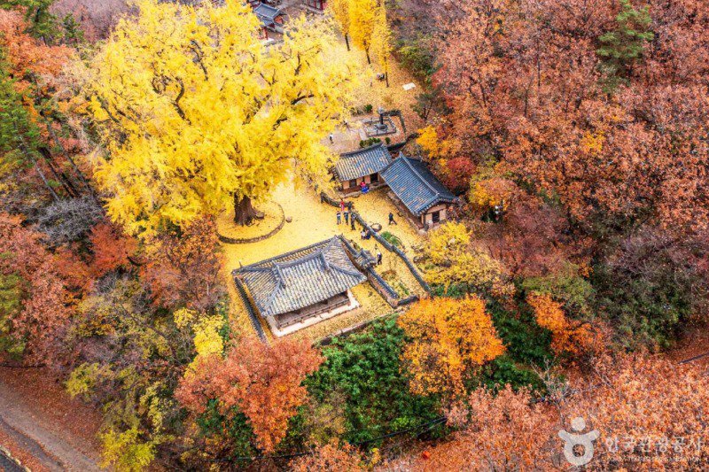 한국 사진 몇장 