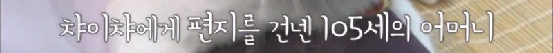지진으로 교통,통신 수단이 마비되었을 때 집배원 역할을 해준 고양이