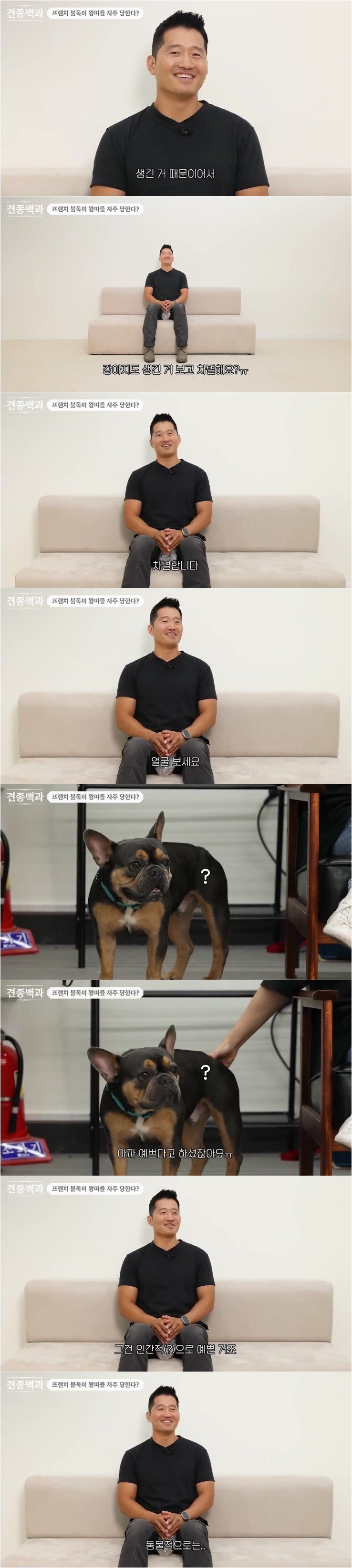 프렌치 불독이 왕따를 자주 당하는 이유.jpg