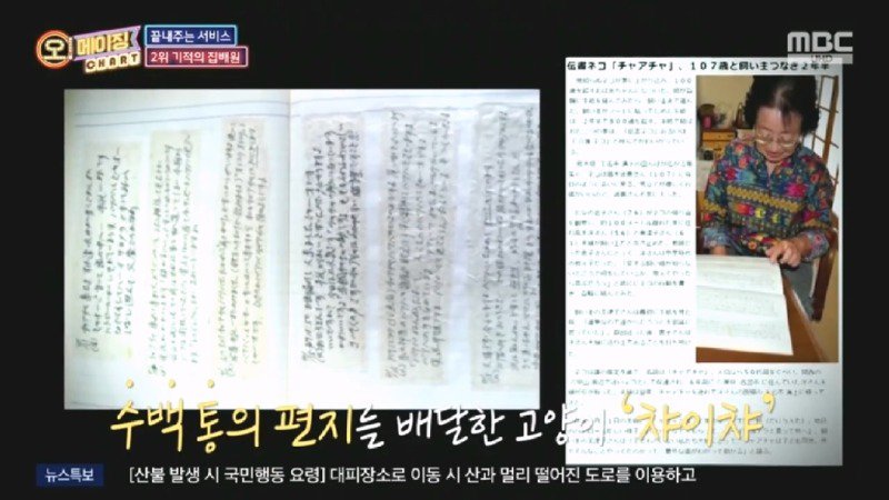 지진으로 교통,통신 수단이 마비되었을 때 집배원 역할을 해준 고양이