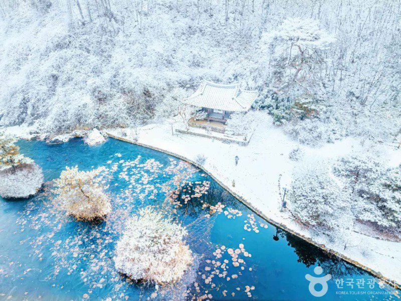 한국 사진 몇장 