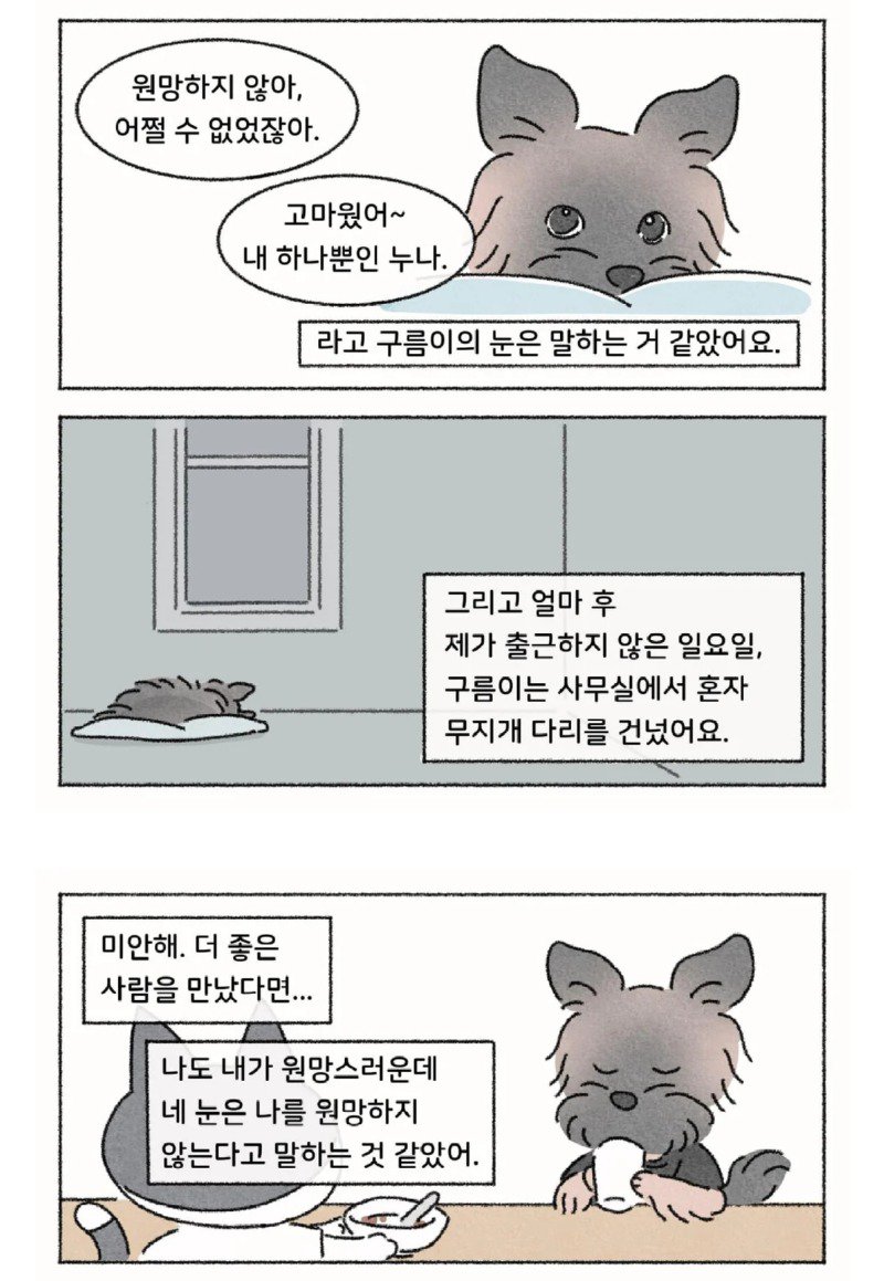작가가 욕이나 박고 가라는 사연툰 만화.manwha