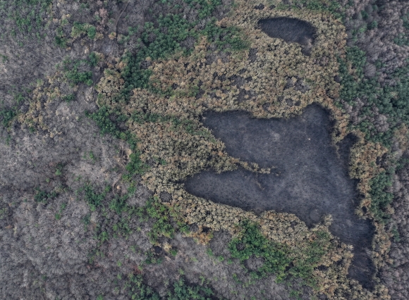 의성 ?괴물 산불? 여기서 시작됐다?최초 발화 지점 [포착]