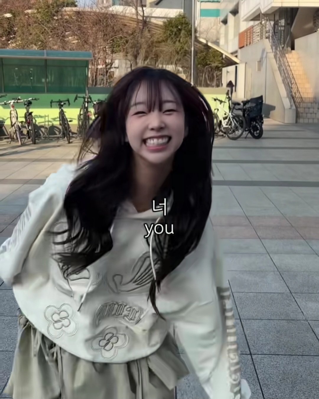 이제 곧 벚꽃 축제인데...