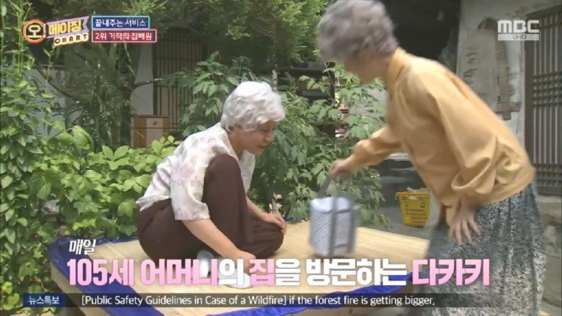 지진으로 교통,통신 수단이 마비되었을 때 집배원 역할을 해준 고양이