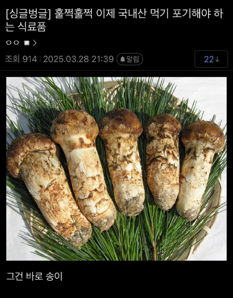 이제 국내산 먹기 포기해야 한다는 식료품