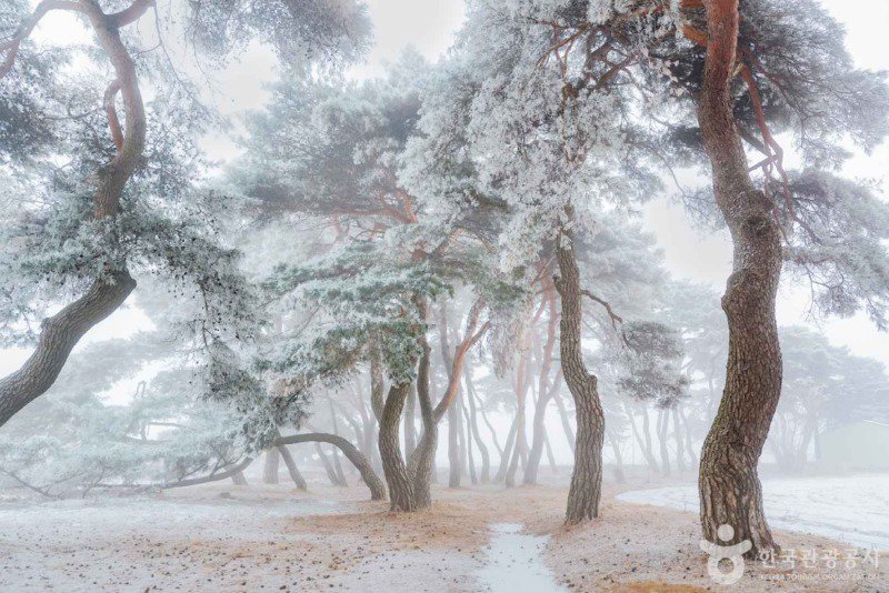 한국 사진 몇장 