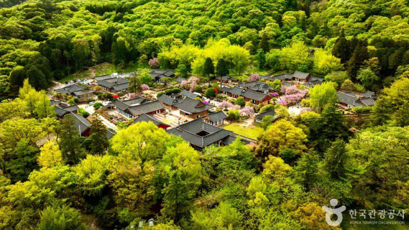 한국 사진 몇장 