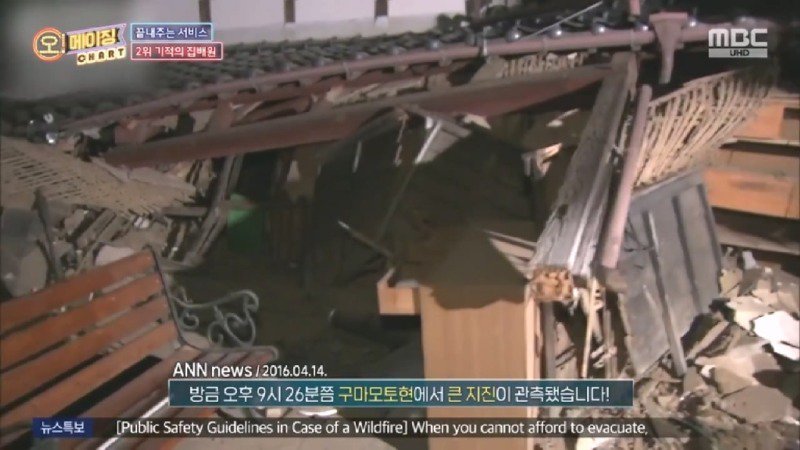 지진으로 교통,통신 수단이 마비되었을 때 집배원 역할을 해준 고양이