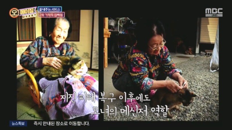 지진으로 교통,통신 수단이 마비되었을 때 집배원 역할을 해준 고양이