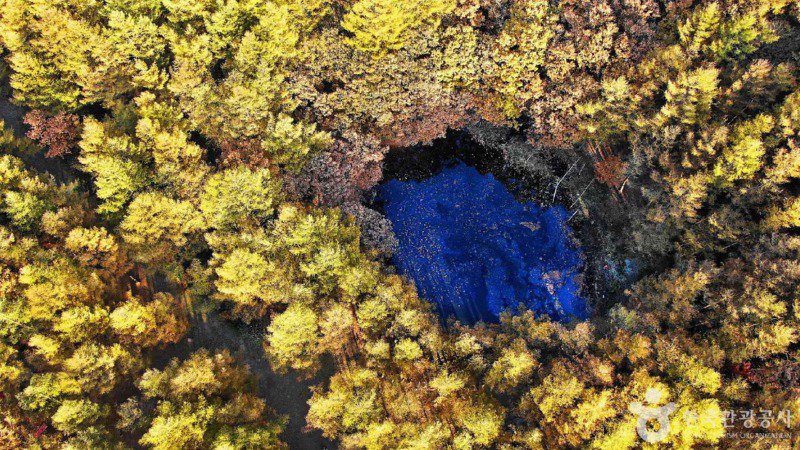 한국 사진 몇장 