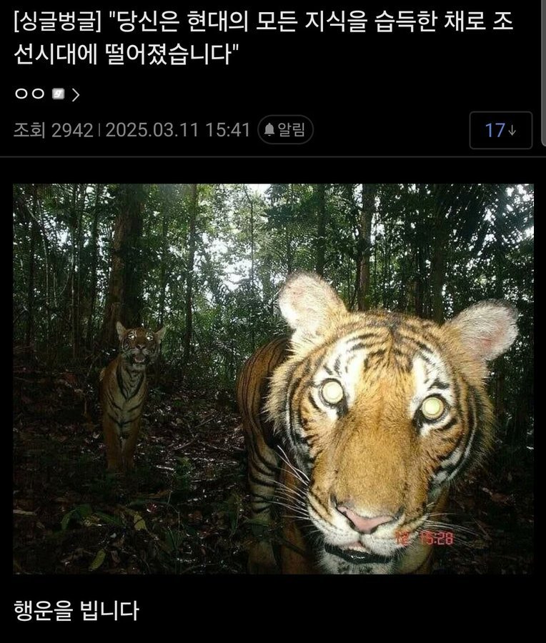 당신은 현대의 모든 지식을 습득한 채로 조선에 떨어졌습니다.