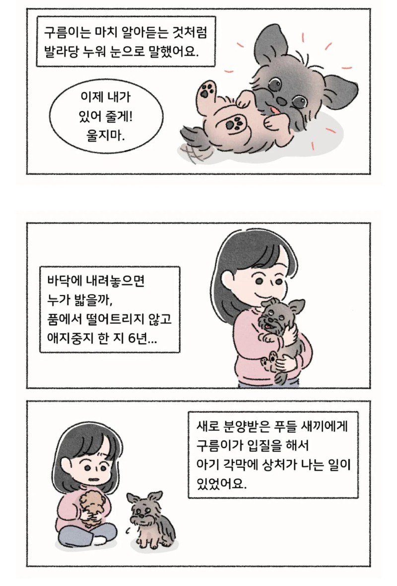 작가가 욕이나 박고 가라는 사연툰 만화.manwha