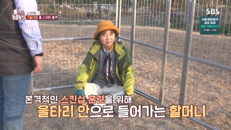 최근 입양한 강아지가 손에 닿을 거리를 유지하고 만지지 못하게 도망가던 사연