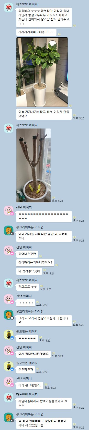 마누라 부탁을 들어줬을 뿐인데 밥을 안준다 ㅠㅠ