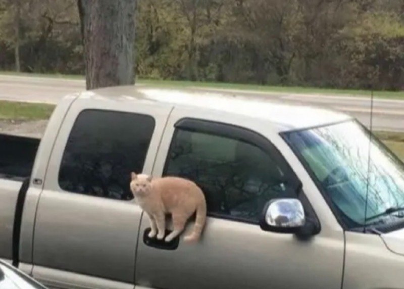 고증 제대로 된 만화