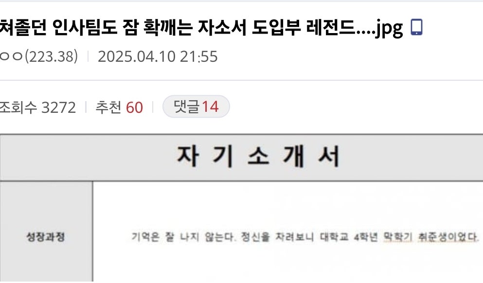 인사팀도 잠 확깨지는 자소서 도입부 레전드