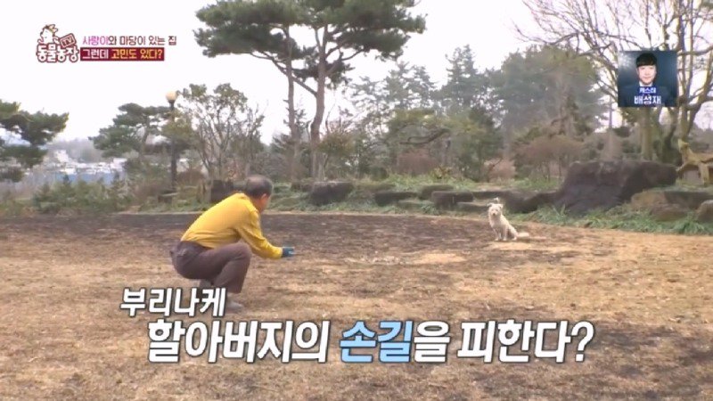 최근 입양한 강아지가 손에 닿을 거리를 유지하고 만지지 못하게 도망가던 사연