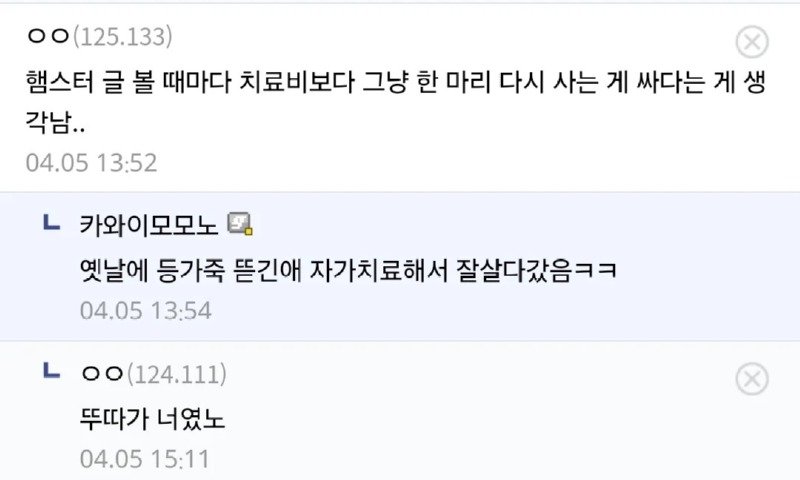 햄스터만 10년 넘게 키운 디시인.jpg