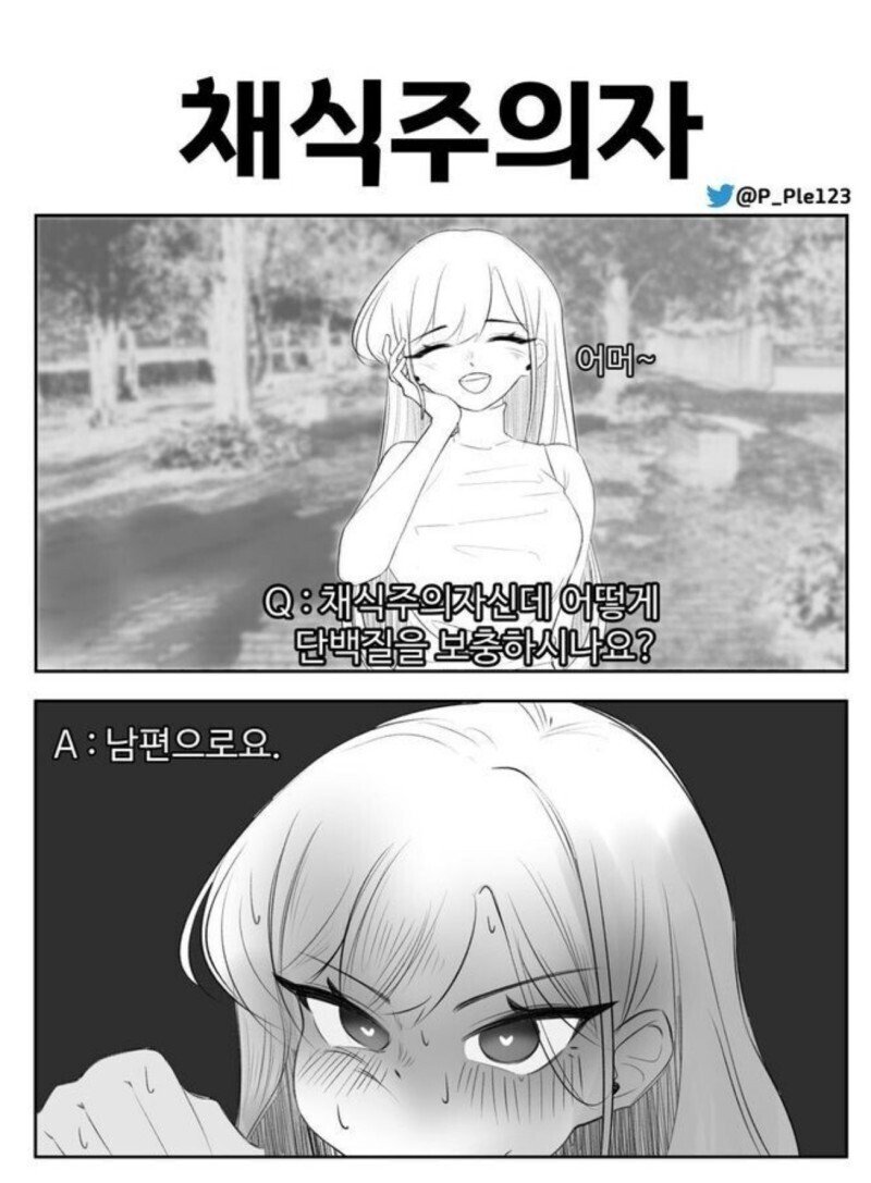 채식주의자 만화