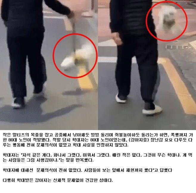 (분노주의) 반려견 목줄 잡고 쥐불놀이