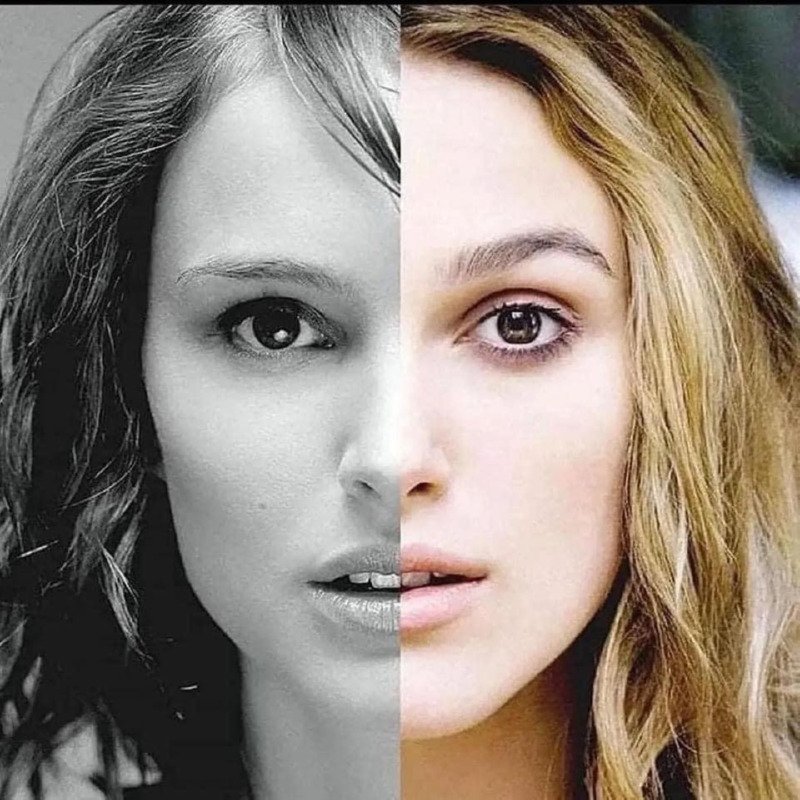 서로 닮은 외국 연예인들