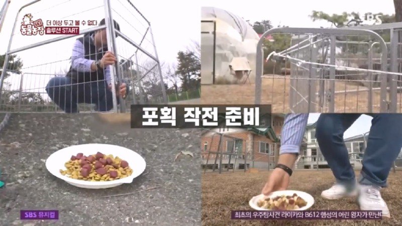 최근 입양한 강아지가 손에 닿을 거리를 유지하고 만지지 못하게 도망가던 사연