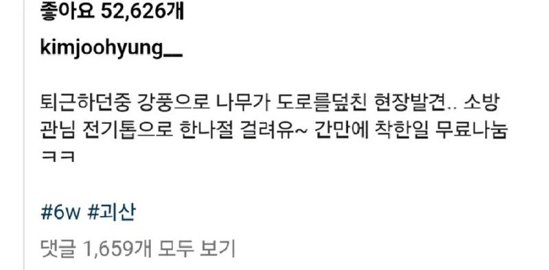 소방관이 쓰러진 나무 수습하는 걸 본 지나가던 포크레인 기사